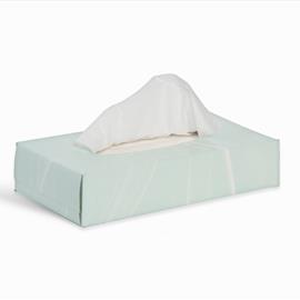 PROFESSIONAL FACIAL TISSUES