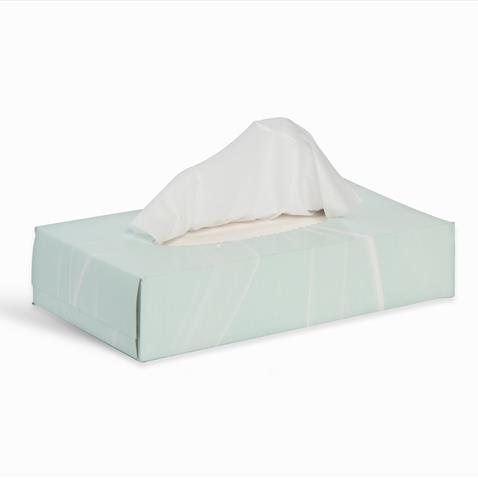 PROFESSIONAL FACIAL TISSUES